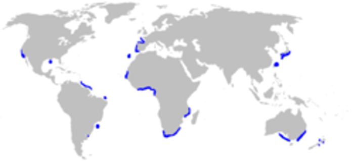 Mapa del hábitat del tiburón duende